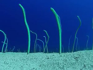 Caption this 👇Video from Oleg EverGreen. | GoPro