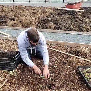 1.3K views · 41 reactions | HEY CLASS, I just added a video on getting started in your no-till garden. . . To sign up for our gardening course and to find details, visit our webpage. | The Local Harvest Market | Facebook
