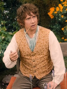 Aquele amigo que acorda de mau humor. #ohobbit #bilbobolseiro #gandalf #netflix #tiktokmefezassistir