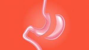 Laparoscopic Videos: Download 2+ Free 4K & HD Stock Footage Clips - Pixabay