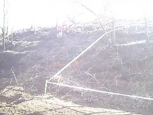 Gインパクト＃２