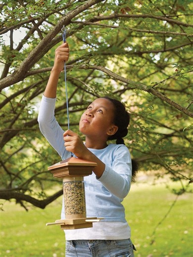How To Build a Bird Feeder