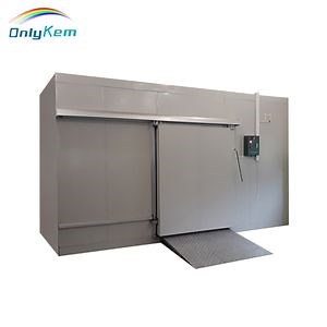 [Hot Item] PU Panel Meat Blast Freezer Cold Room Walk in Freezer Cold Storage Room for Fish Freezer