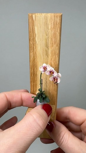 15K views · 470 reactions | Miniature plants that no one can kill ...