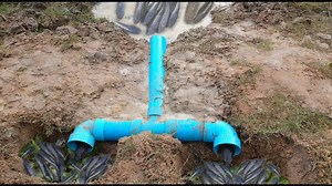 7.5K views · 55 reactions | Creative Boys Make PVC Pipe Deep Hole Fish Trap To Catch A Lot Of Fish | Thế giớ động vật | Facebook