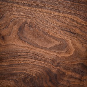 Walnut wood texture background. Black walnut wood texture background....