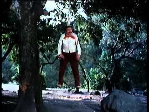 El Charrito Pelicula Completa - Chespirito