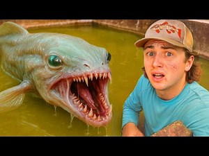 I Found a MONSTER Living in My Pond!