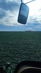 Alceu Alceu on Reels