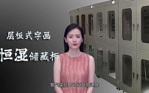 快速超低湿防潮柜厂家推荐13144843931（微信）莞深恒源