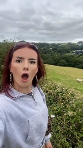 81K views · 655 reactions | Speaking fluent sheep!  | Furry Tails | Facebook