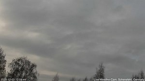 Widget Examples | webcam.io