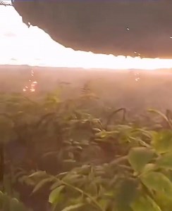 Delving into the mysterious realm of Unidentified Flying Objects! 👽 #UFO #Aliens | Alien & UFO Sightings