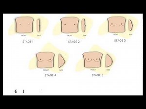 5 Stages of Breast Development | Beginner Bras | My Adira