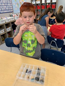 Earth Systems in Science