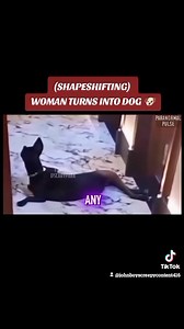 (SHAPESHIFTING) WOMAN TURNS INTO DOG  @Paranormal Pulse #fyp #trending #johnboyscreepycontent416 #viral #tiktok #shapeshifter #shapeshfting #womanturnsintodog | Sylvester Roark | Facebook