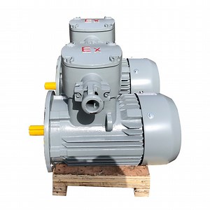 [Hot Item] Flameproof Explosion Proof Three Phase AC Motor for Water Pump Axial Fan