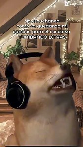 2.7K views · 29 reactions | ✅ Estás a tiempo de participar en el Concurso Nacional de Talento Musical 2024 #TumbandoLetras, ✨ Inscríbete en https://bit.ly/ConcursoTumbandoLetras | Centros de Integración Juvenil | Facebook