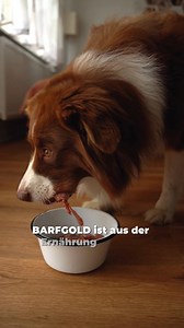 BARFen auf die leichte Art – mit den GOLDSTÜCKCHEN 💛 Die fertigen BARF-Menüs von BARFGOLD haben bereits alles enthalten, was Dein Hund benötigt. Einfach auftauen, servieren und wiederverschließen. | Barfgold