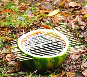 142K views | IDÉES BRILLANTES POUR PASSER DES MOMENTS GÉNIAUX DANS LA NATURE: | Brico Monsieur | Facebook