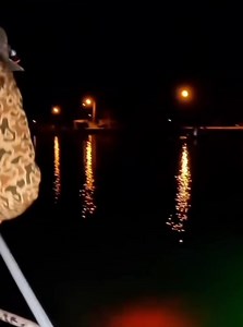 We caught shrimp in a huge dip net and cooked them on a beautiful beach. | MrOnfishingcrazy