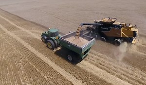 Grain Marketing: Forward Price Contracts | NC State Extension