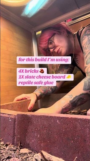 Building a new basking cave for my Savannah monitor 🧱🦎(Yes officer… it’s really for enrichment.)
