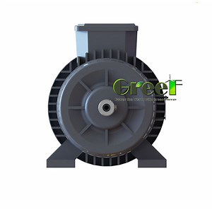[Hot Item] Low Rpm High Efficiency AC 3phase Generator/Alternator 50W-1.2kw Pmg