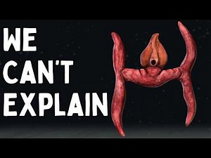 The Strangest Extinct Creatures Ever Found