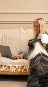 Award-winning Drontal Tasty Bone dog wormer 🏆​ Vet-strength formula ✅ ​ Fast and effective ✅ ​ Kills every type of intestinal worm commonly found in UK dogs ✅ | Drontal UK