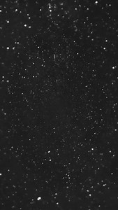 Have you registered for our 2025 Competition season? Don’t miss out on our positive, exciting and fun competitions. Quality feedback, beautiful trophies and studio banners! . #dancecompetitions #competitivedance #dancestudios #stepup2dancecompetition | Step Up 2 Dance