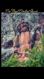 Pre-Flood Petrified Giants.. 🌊 #truth #petrified #wakeup | Leviticus Mdp