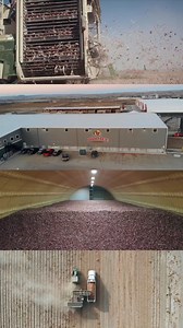 Come To Say Hi! Owyhee Produce & Buck Naked Onions At Viva Fresh Expo 2024! Booth #222 APRIL 11 - 13, 2024 Marriott Marquis in Houston, Texas | Owyhee Produce