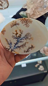 2.9K views · 202 reactions | HOW DO DENDRITES FORM  | Saltshack | Facebook