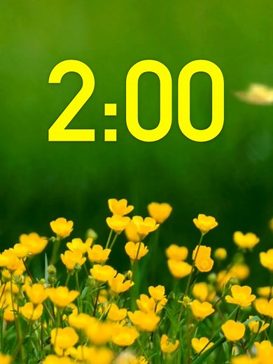 2 Minute Timer for Quick Tasks