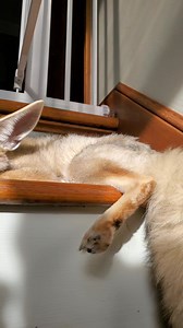 9.9K views · 1.9K reactions | Step sleeps | Fawzi Fox | Facebook