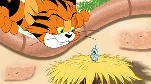 Tom & Jerry - Tiger Chase | Cười Tẹt Ga