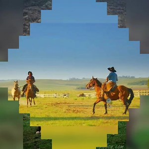 COBOI GAÚCHOS | COBOI