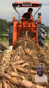 4.6K views · 35 reactions | Cassava Harvesting Machine Nigerian Cassava Farmers Needs This. #agriculture #cassava #cassavaflour #nigeria | Njieforti Princewill Gana | Facebook