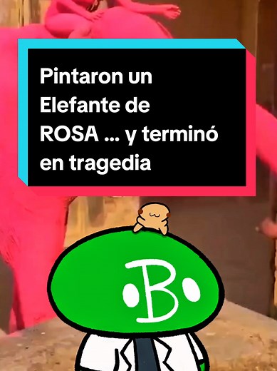 Elefante rosa: pintura causa tragedia