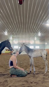 The hardest part of rescue is knowing and feeling the infinite suffering animals go through. Yet also the greatest privilege to be part of their liberation. #healingtiktok #hopecore #horserescue #wildhorses #horsesofinstagram #animallover #animalrescue #animalsanctuary #animalrights #farmlife #momlife | Healing with Horseplay