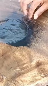 THRILLED,, CITIZENS DISCOVER GOLD IN THE MINE PIT~USING TRADITIONAL MINING METHODS | Gold Hunter | Facebook