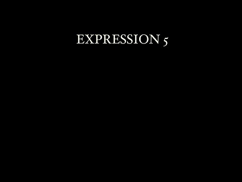 Quentin Miller - Expression 5