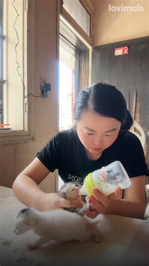 What would they have done without her! 😮 | VT