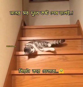 270K views · 10K reactions | hmm﫣 | Girlfriend | Facebook