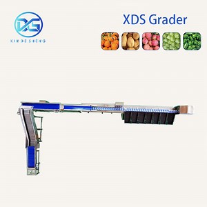 [Hot Item] Ai-Powered Strawberry Tomato Sorting Machine, with Advanced Vision System