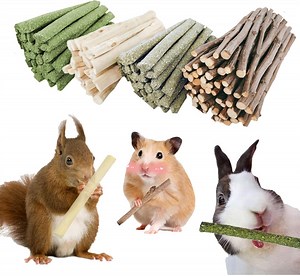 Rabbit Chew Toy300g Bunny Molar Treat 4 in 1 Organic Natural Snack for Cleaning Teeth Apple Branch Sweet Bamboo Timothy Hay Alfalfa Stuff Dental Snacks for Hamster Chinchilla Parrot Gerbil Squirrel - Walmart.com