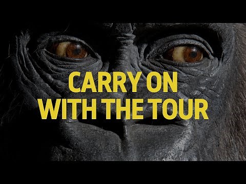 Homosexual behaviour in primates | LGBTQ+ natural history tour | Stop 7