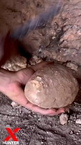 2.5K views · 21 reactions | Treasure Hunting l Jewish Treasure By Metal Detecting [ Vanquish 540 Pro] Full video | Explored With Connor | Facebook