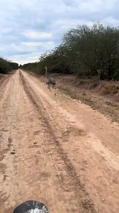 314K views · 5.7K reactions | Imagine c'est lui qui tient ton bonheur 藍 Tu es fou tu | Id L'international | Facebook